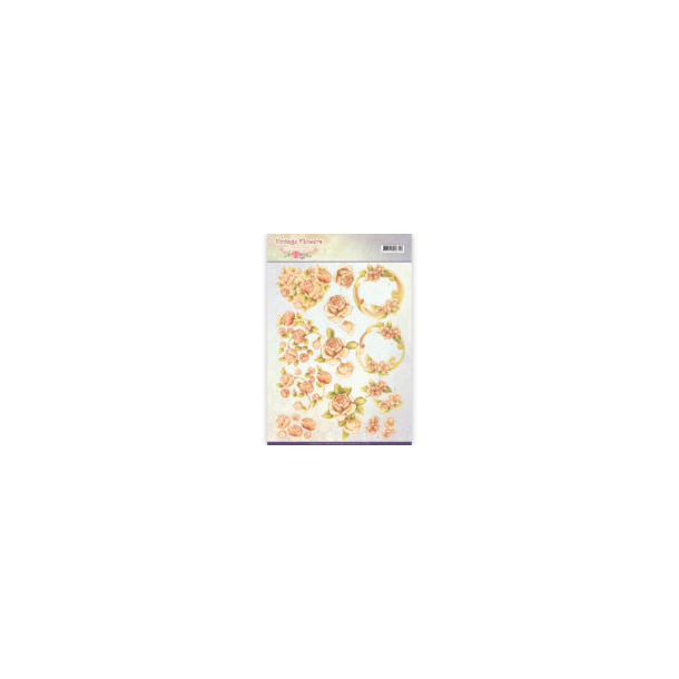 3D Jeanine`s Orange blomster